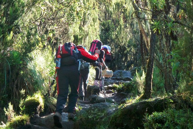 7 Day Kilimanjaro Machame climb - Price and value: what $2,580 really covers