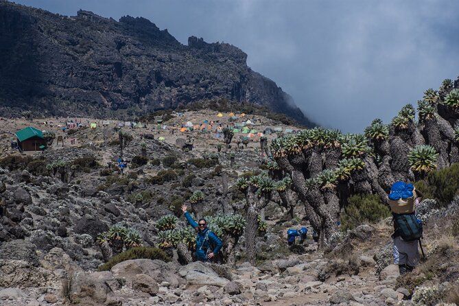 7 Day Kilimanjaro Machame climb - Who should pick this Machame climb, and who should rethink