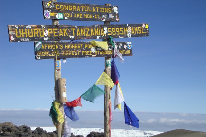 7 Day Kilimanjaro Machame climb - Barranco Wall: the scrambling moment you’ll remember