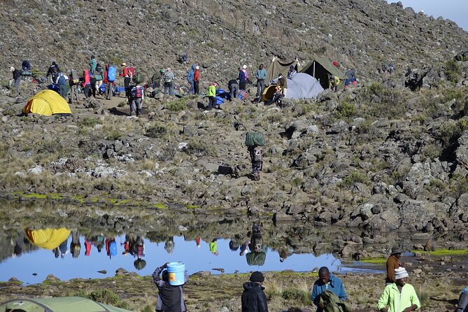 7-Day Kilimanjaro Trekking Tour via Machame Route - Shira Plateau and the Kibo sunset glow