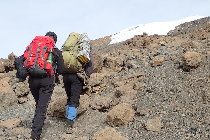 7-Day Kilimanjaro Trekking Tour via Machame Route - Acclimatization through Lava Tower to Barranco Camp