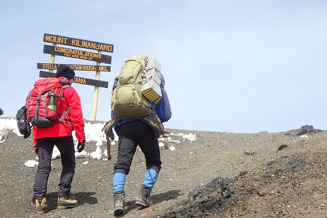 7-Day Kilimanjaro Trekking Tour via Machame Route - Summit night: Stella Point to Uhuru Peak at 5895m