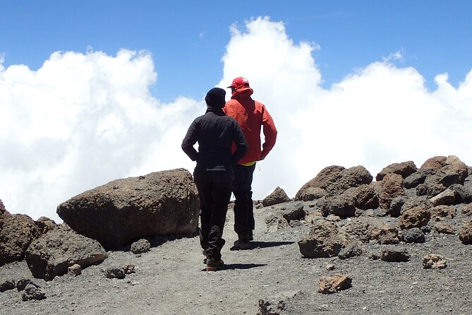 7-Day Kilimanjaro Trekking Tour via Machame Route - Day 7 Mweka Gate farewell, shower, and your certificate moment