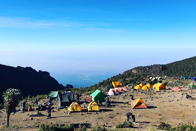 7-Day Machame Route Kilimajaro - Moshi Pickup to Machame Gate, Rainforest Birds, and Coffee Country