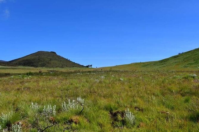 7-Day Machame Route Kilimajaro - The Support Team and Group Size, from Porters to Your Guide