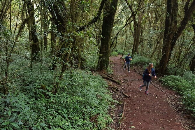 7-Day Mountain Climbing in Machame Route - Day 5: Barafu Camp, Finishing the South Circuit, and Preparing for Summit Night