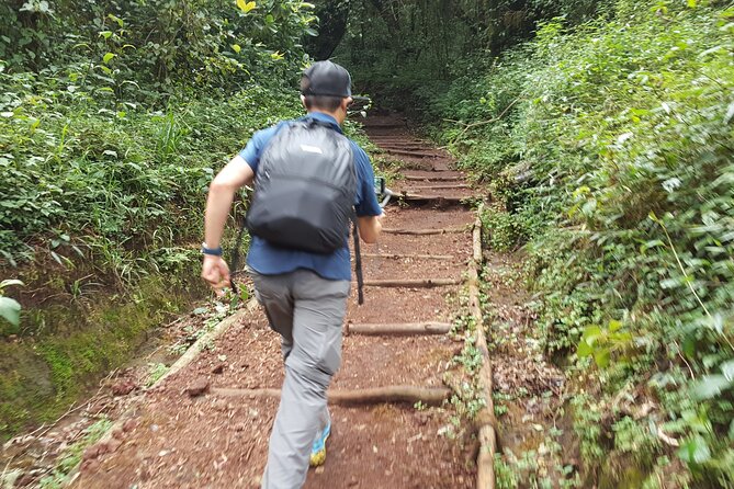 7-Day Mountain Climbing in Machame Route - Day 6: Midnight Wake, Stella Point Before Sunrise, and Reaching 5,985m