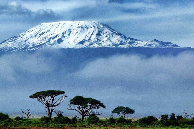 7-Day Mt. Kilimanjaro Hiking: Machame Route - Day 1 Forest to Day 2 Moorland: The Pattern Starts Immediately