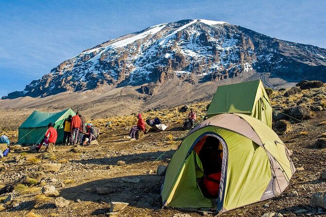 7-Day Mt. Kilimanjaro Hiking: Machame Route - Day 6 Summit Night: Stella Point to Uhuru Peak