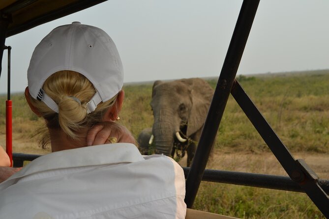 7-Day North Tanzania Classic Safari - Day 5: Serengeti Hippo Pool, river life, crocs up close, and predator shots
