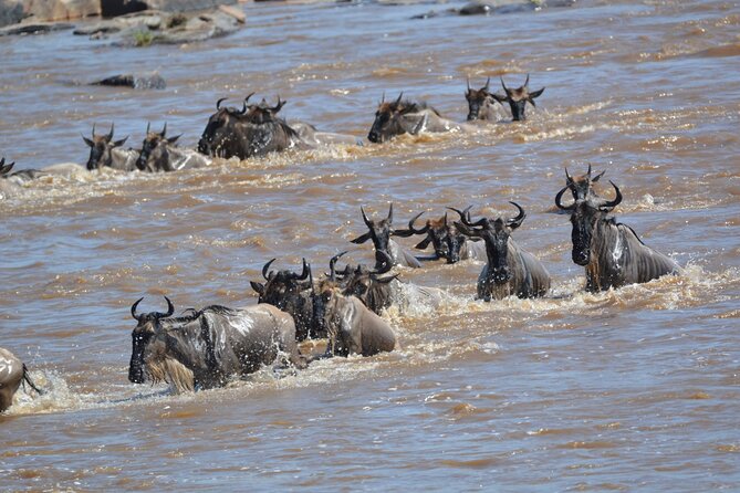 7-Day North Tanzania Classic Safari - Day 7: Departure planning from Arusha or Kilimanjaro, with flexible timing