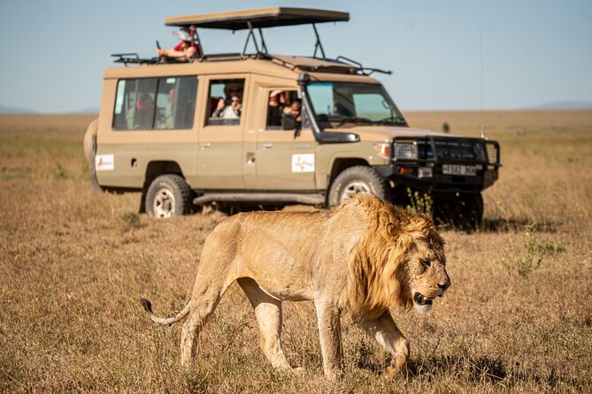 7-Day Premium Luxury Tanzania Safari All-Inclusive - Key Highlights That Matter Day to Day