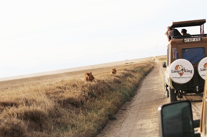 7-Day Premium Luxury Tanzania Safari All-Inclusive - Tarangire National Park: Elephants, Acacias, and Real Game Viewing