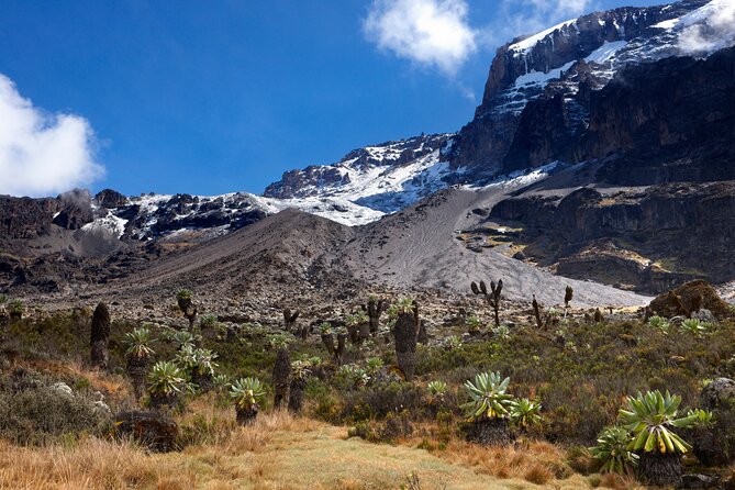 7-Day Private Kilimanjaro Hiking Tour via Machame from Arusha - Day 1, Arusha to Machame Camp: Register, Stretch, and Follow the Moss