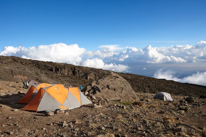 7-Day Private Kilimanjaro Hiking Tour via Machame from Arusha - Day 7, Mweka Descent: Forest Steps to the Gate