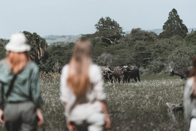 7 Day Safari in Tanzania National Parks - Tarangire’s second act: birds, hyraxes, gerenuks, and oryx