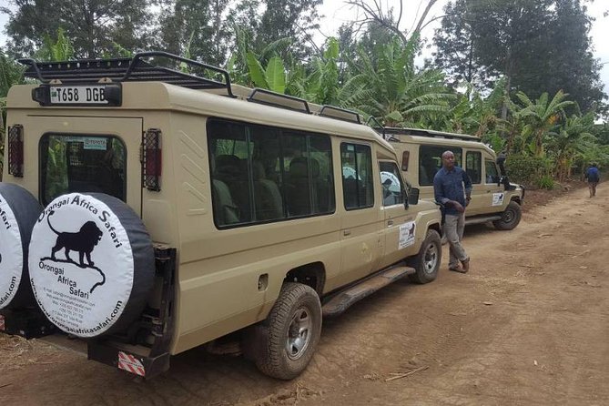 7-Day Safari (Including Serengeti) & Zanzibar Extension - Who this trip suits best, and who should reconsider
