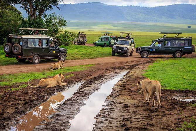 7-Day Safari (Including Serengeti) & Zanzibar Extension - Should you book this safari with Zanzibar extension?