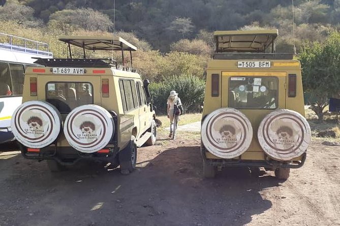 7 Day Tanzania visiting Arusha, Lake Manyara, Serengeti, Ngorongoro & Tarangire - Serengeti days 3 and 4: endless plains and lion-focused viewing in the Seronera area