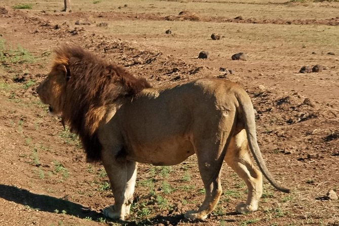 7 Day Tanzania visiting Arusha, Lake Manyara, Serengeti, Ngorongoro & Tarangire - Olduvai Gorge and local living styles: adding meaning beyond animals
