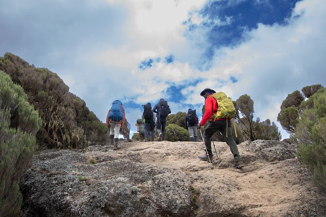 7 Day Trek To The Roof Of Africa Kilimanjaro via Machame Route - Day 6: Karanga Camp to Barafu Camp, high alpine desert and the final staging