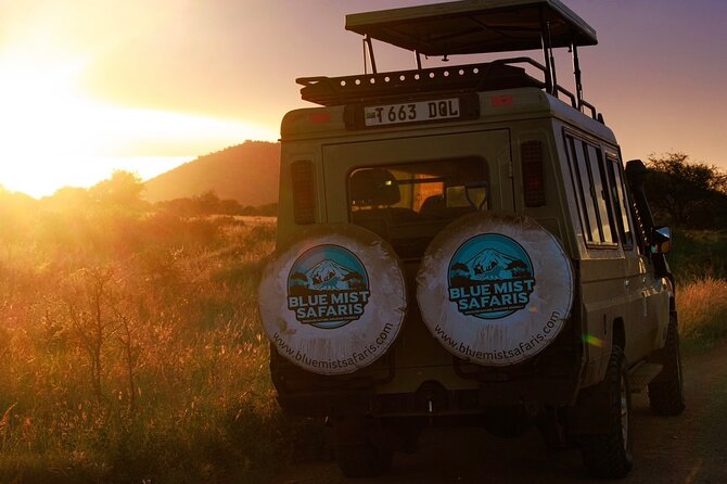 7 Days All inclusive Premium Safari Adventure in Tanzania - Key Things I’d Watch For Before You Book