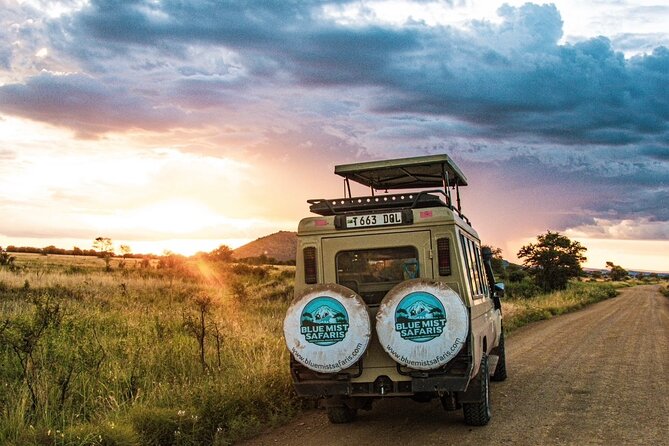 7 Days All inclusive Premium Safari Adventure in Tanzania - Value, Pace, and Who This Trip Fits