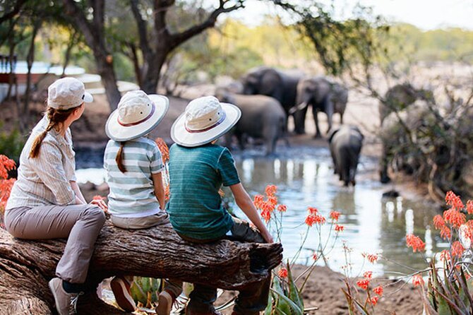 7 Days Best Luxury Safari To Tanzania - Key points to know before you go