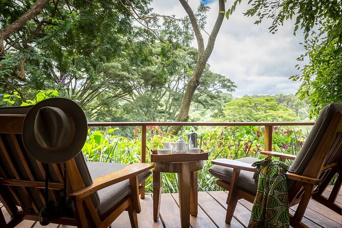7 Days Best Luxury Safari To Tanzania - Day 2 Tarangire National Park: elephant herds and baobabs