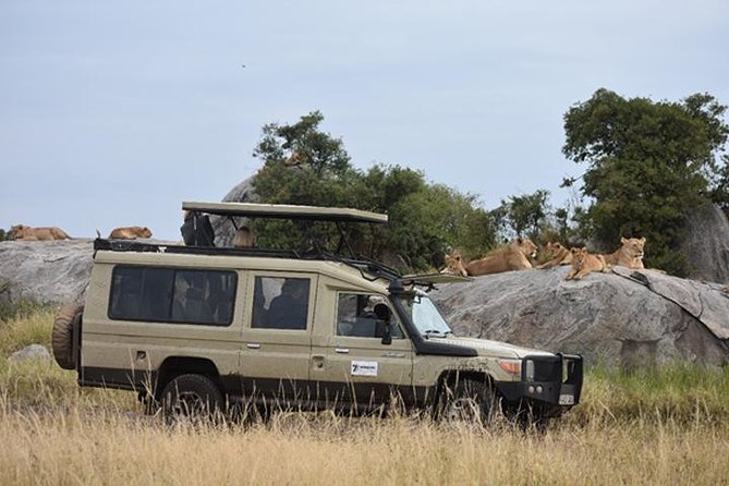 7 Days: Great Migration Mara River Crossing(manyara, Ngorongoro And Serengeti) - Price and logistics: is $3,538.47 per person good value?