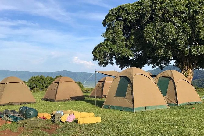 7 days great migration safari - Crater floor day: Big Five odds, water-driven movement, and black rhino