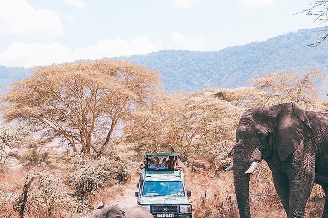7 days great migration safari - Lake Eyasi on day seven: Hadzabe and Datoga, a safari that is not only wildlife