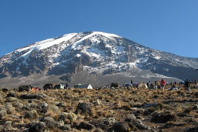 7 Days Kilimanjaro Climb Machame route - Uhuru Peak at night: Stella Point and the steep-to-steady switch (Day 6)