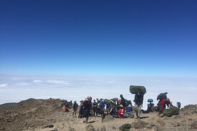 7 Days Kilimanjaro Climb Machame route - Shira Plateau, the vegetation shift, and the heat check (Day 2)