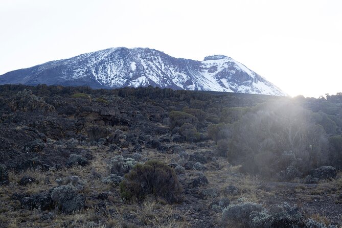 7 Days Kilimanjaro Climbing | Hiking Tour via the Lemosho Route - Day 5: the path toward Barafu camp and pre summit rest