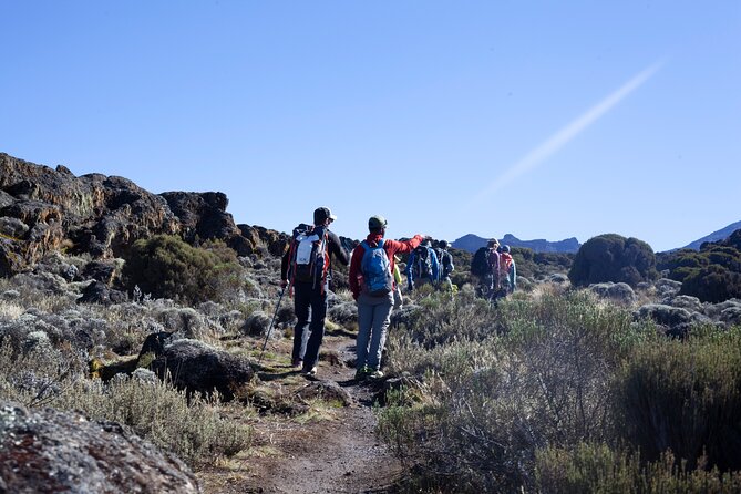 7 Days Kilimanjaro Climbing | Hiking Tour via the Lemosho Route - Day 6: Uhuru Peak (summit) timing, cold conditions, and the descent plan