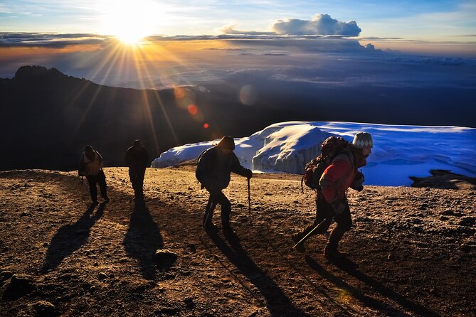 7 Days Kilimanjaro trek via Machame route - Key things that make this Machame trek worth your attention