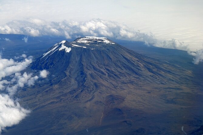 7 Days Kilimanjaro trek via Machame route - Shira Plateau day: viewpoints, changing vegetation, and a very clear lesson in altitude