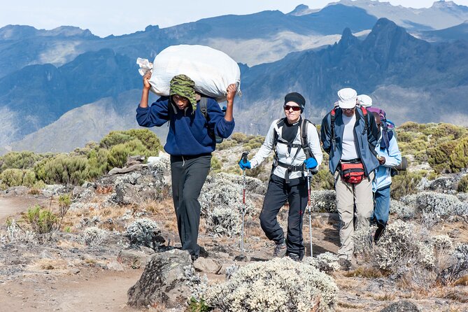 7 Days Kilimanjaro trek via Machame route - Barranco Wall to Karanga Valley: the scrambling day you should respect