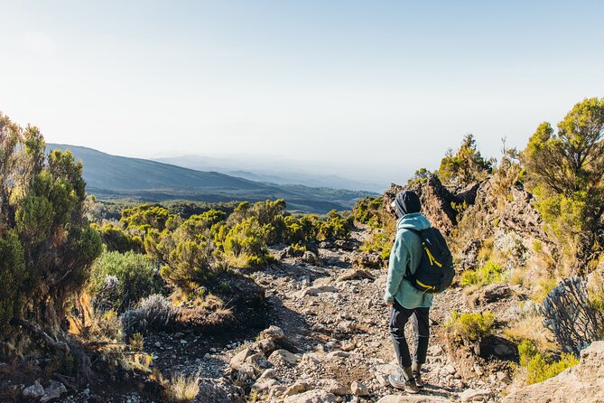 7 Days Kilimanjaro trek via Machame route - Mweka Gate finish through forest: the day that feels like real relief