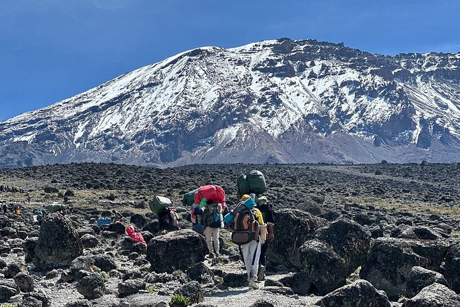 7 Days Kilimanjaro Trekking Machame Route - Key Things I’d Watch Before You Go