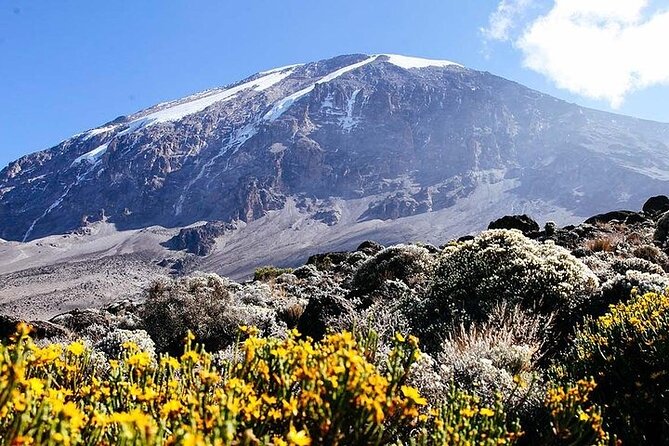 7 Days Kilimanjaro Trekking Machame Route - Day 5: A Short, Easy Recovery Before Barafu