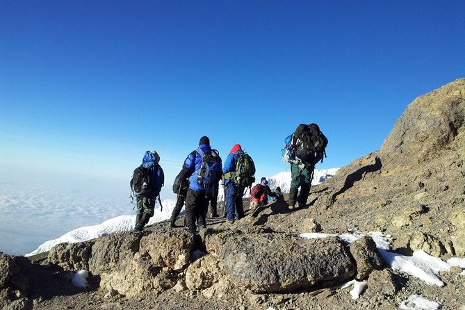 7 Days Kilimanjaro Trekking Machame Route with Professional Guide - Day 2 through Machame National Park gate: rainforest to Machame Camp