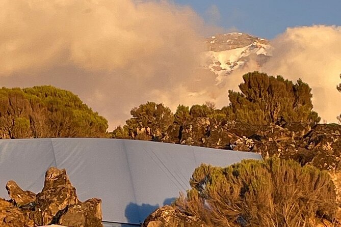 7 Days Kilimanjaro Trekking Machame Route - Moshi Start, Transfers, and the First Mile Mindset