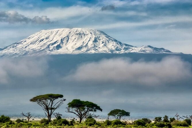 7 Days Kilimanjaro via Machame route affordable price - Price and logistics, what $2,400 covers in real terms