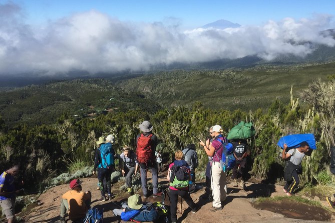 7 days Lemosho route - Shira 2 Camp and the Cold Reality Check