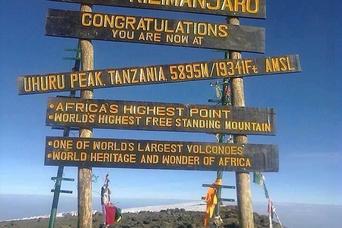 7 days Lemosho route - Summit Night at 23:30: Stella Point and Uhuru Peak