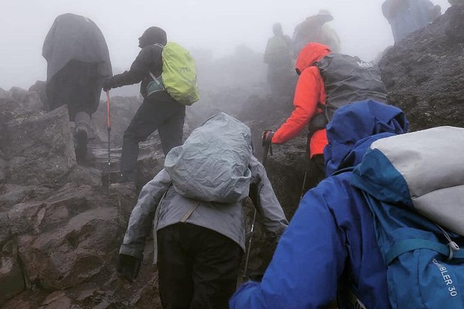 7 days Lemosho route Climbing Mt.Kilimanjaro - Entering Kilimanjaro via Londorossi Gate and the rainforest trail