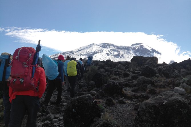 7 days Lemosho route Climbing Mt.Kilimanjaro - Day 7 down to Mweka Park Gate for certificates, then back to Moshi