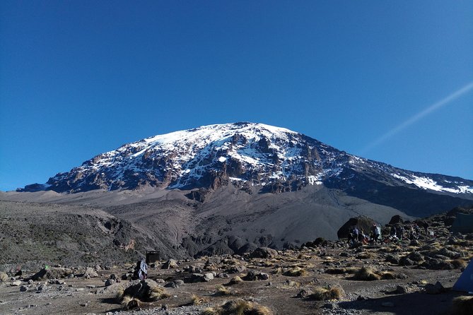 7 days Lemosho route Climbing Mt.Kilimanjaro - Lava Tower, Arrow Glacier junction, and Barranco Hut for real acclimatization
